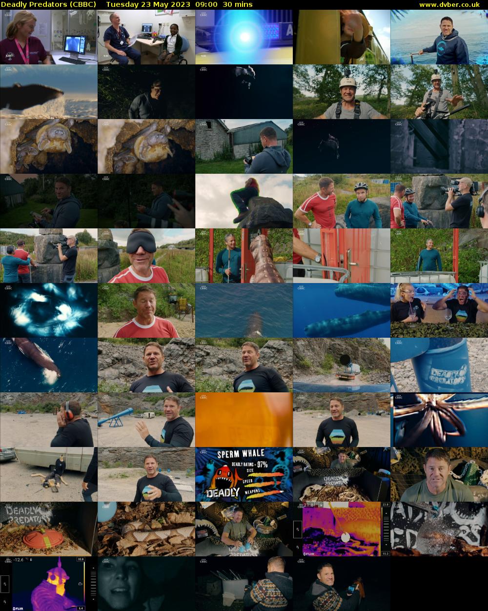 Deadly Predators (CBBC) Tuesday 23 May 2023 09:00 - 09:30