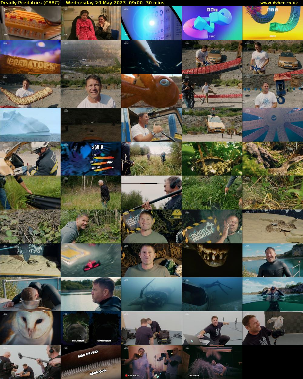 Deadly Predators (CBBC) Wednesday 24 May 2023 09:00 - 09:30