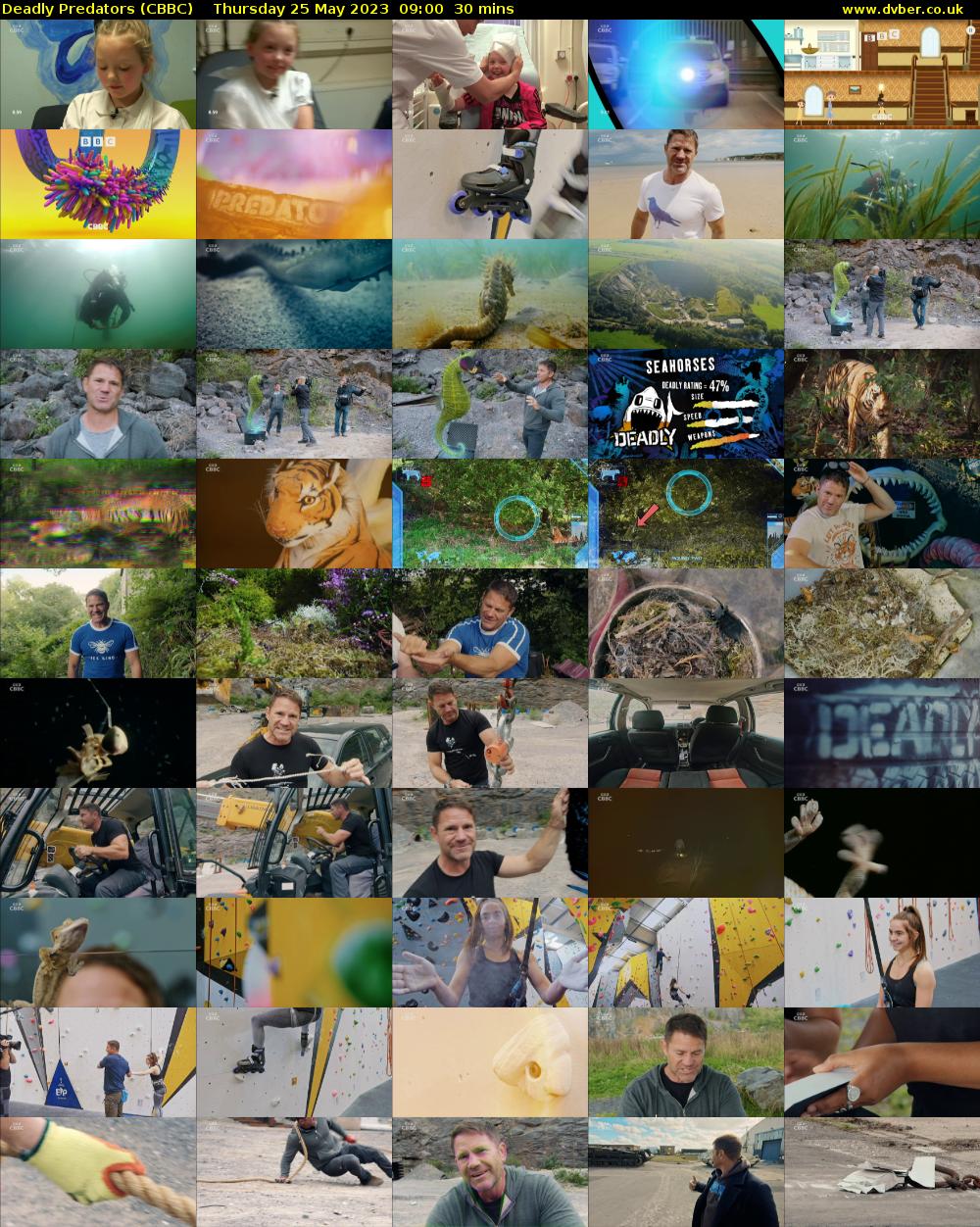 Deadly Predators (CBBC) Thursday 25 May 2023 09:00 - 09:30