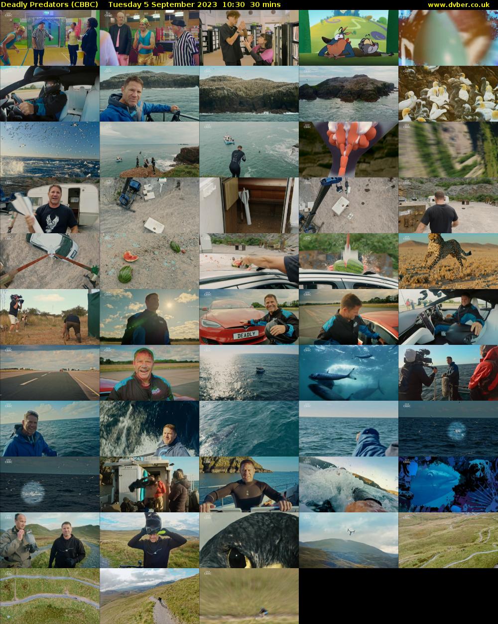 Deadly Predators (CBBC) Tuesday 5 September 2023 10:30 - 11:00