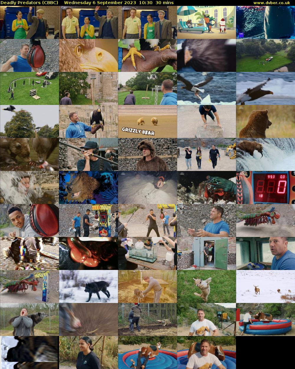 Deadly Predators (CBBC) Wednesday 6 September 2023 10:30 - 11:00