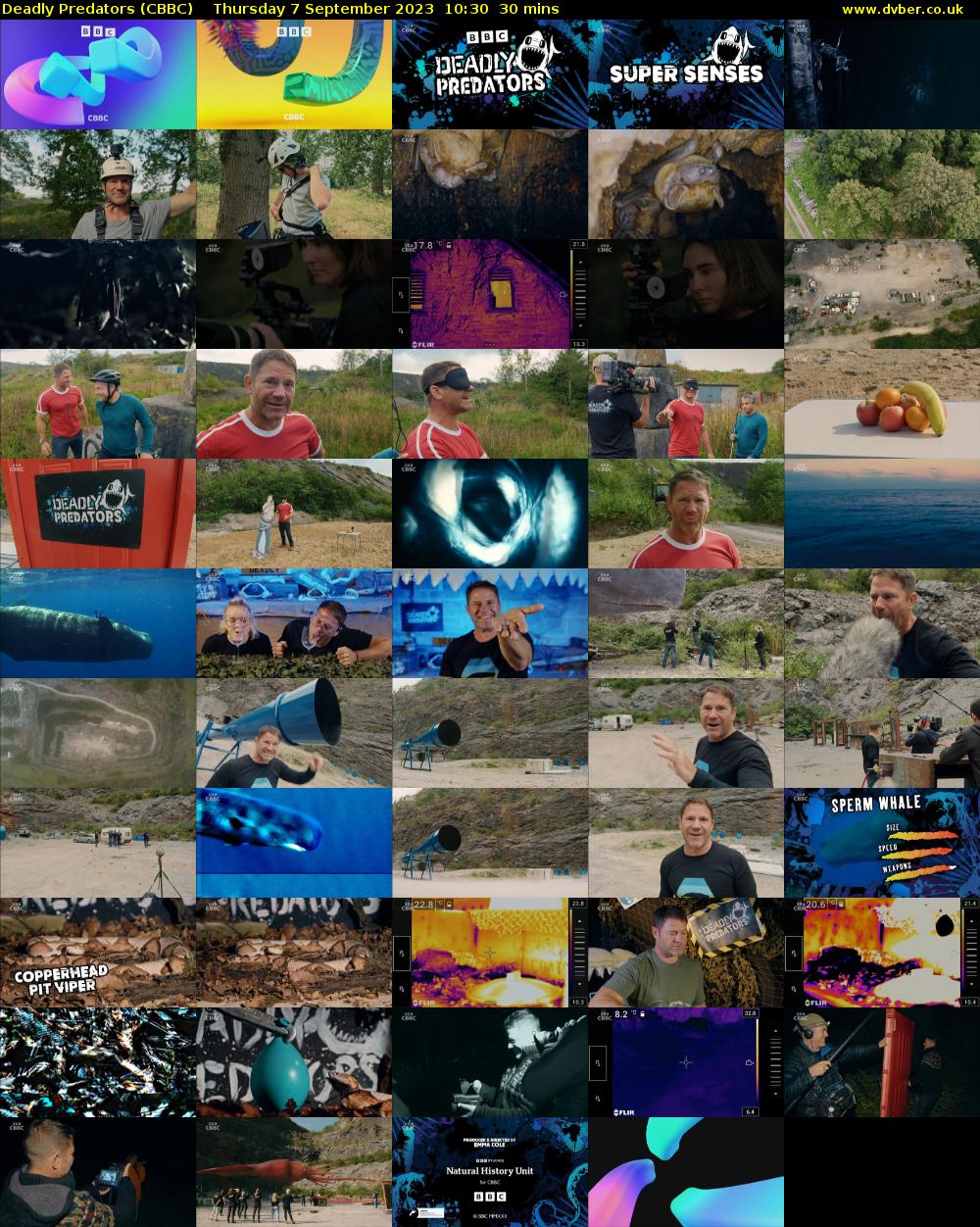 Deadly Predators (CBBC) Thursday 7 September 2023 10:30 - 11:00