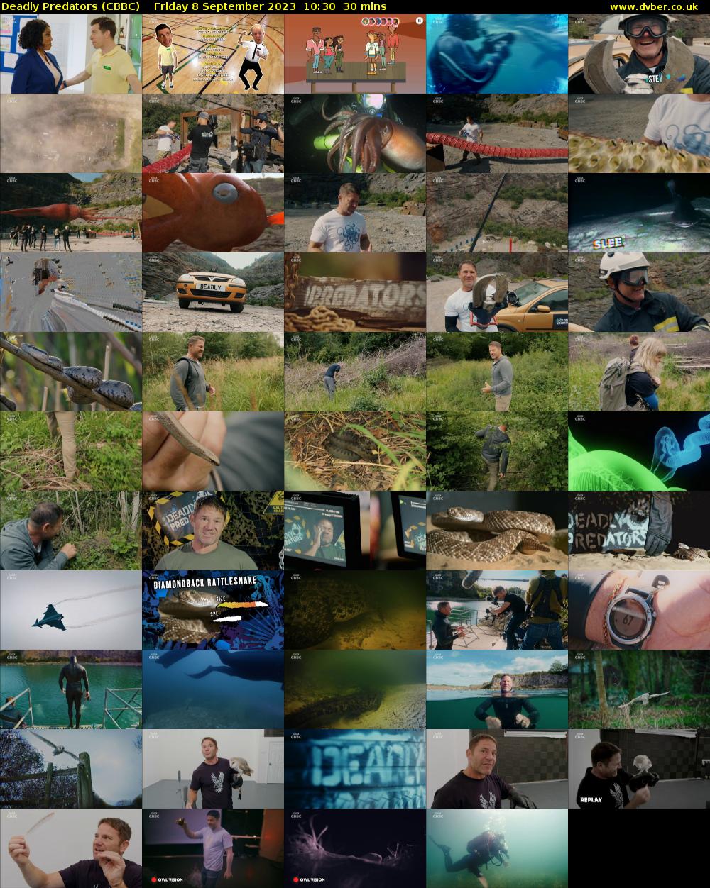 Deadly Predators (CBBC) Friday 8 September 2023 10:30 - 11:00
