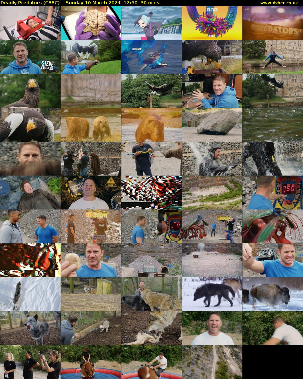 Deadly Predators (CBBC) Sunday 10 March 2024 12:50 - 13:20