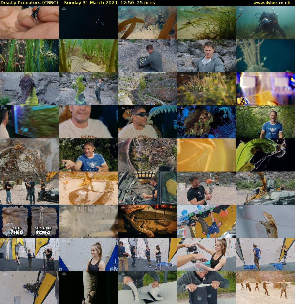 Deadly Predators (CBBC) Sunday 31 March 2024 12:50 - 13:15