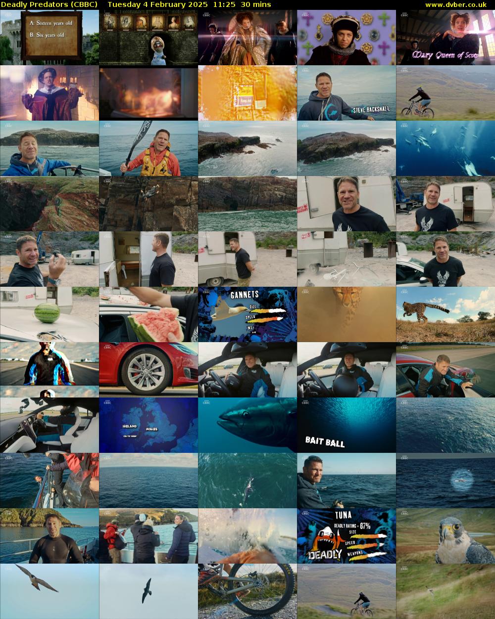 Deadly Predators (CBBC) Tuesday 4 February 2025 11:25 - 11:55