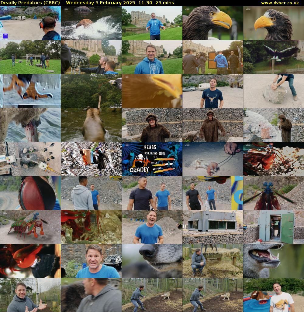 Deadly Predators (CBBC) Wednesday 5 February 2025 11:30 - 11:55