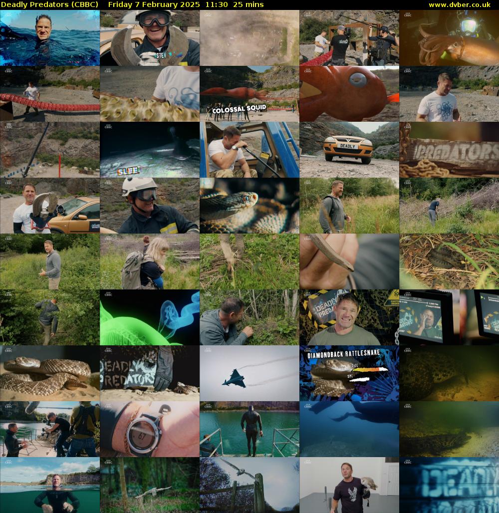 Deadly Predators (CBBC) Friday 7 February 2025 11:30 - 11:55