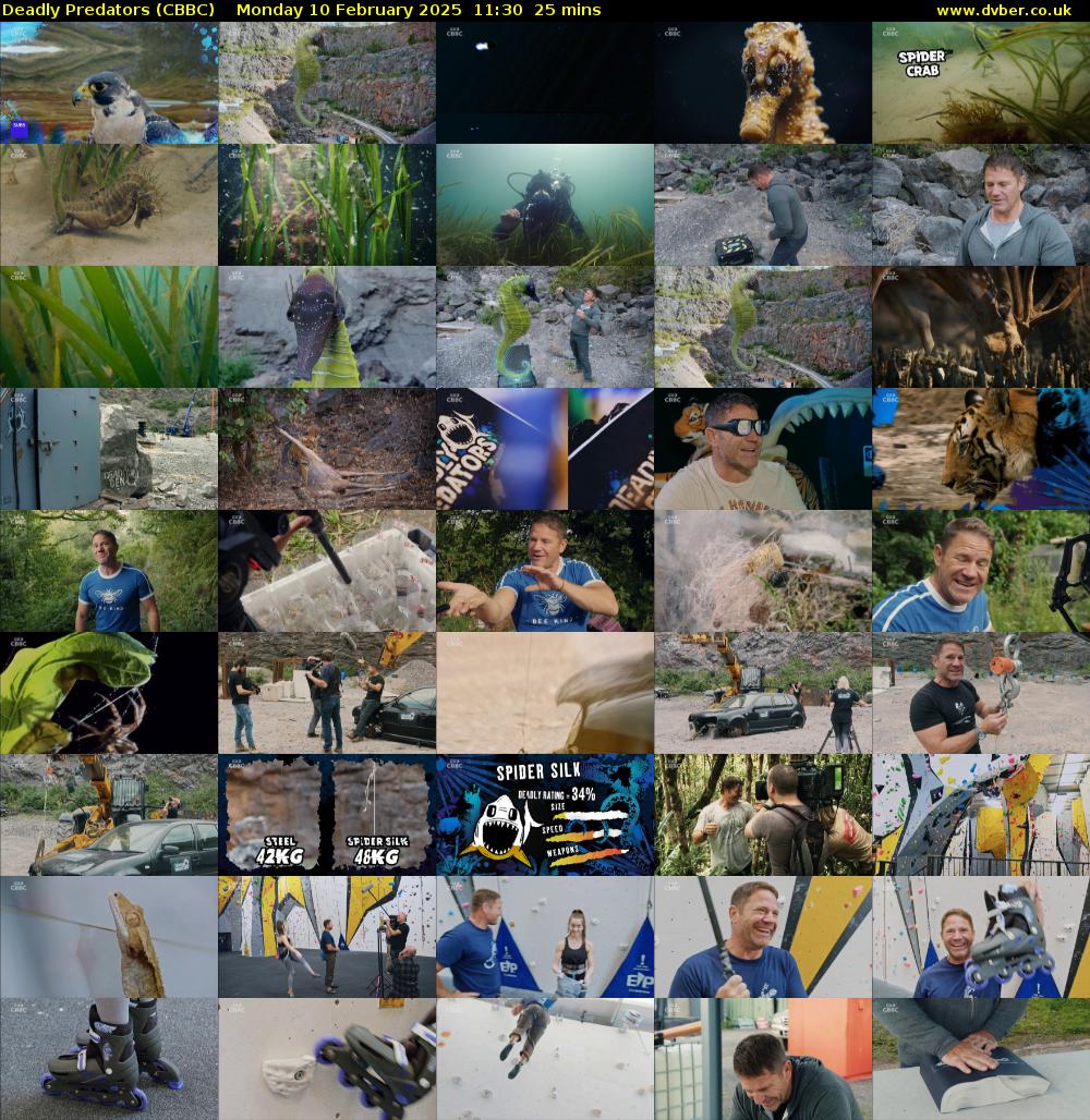Deadly Predators (CBBC) Monday 10 February 2025 11:30 - 11:55