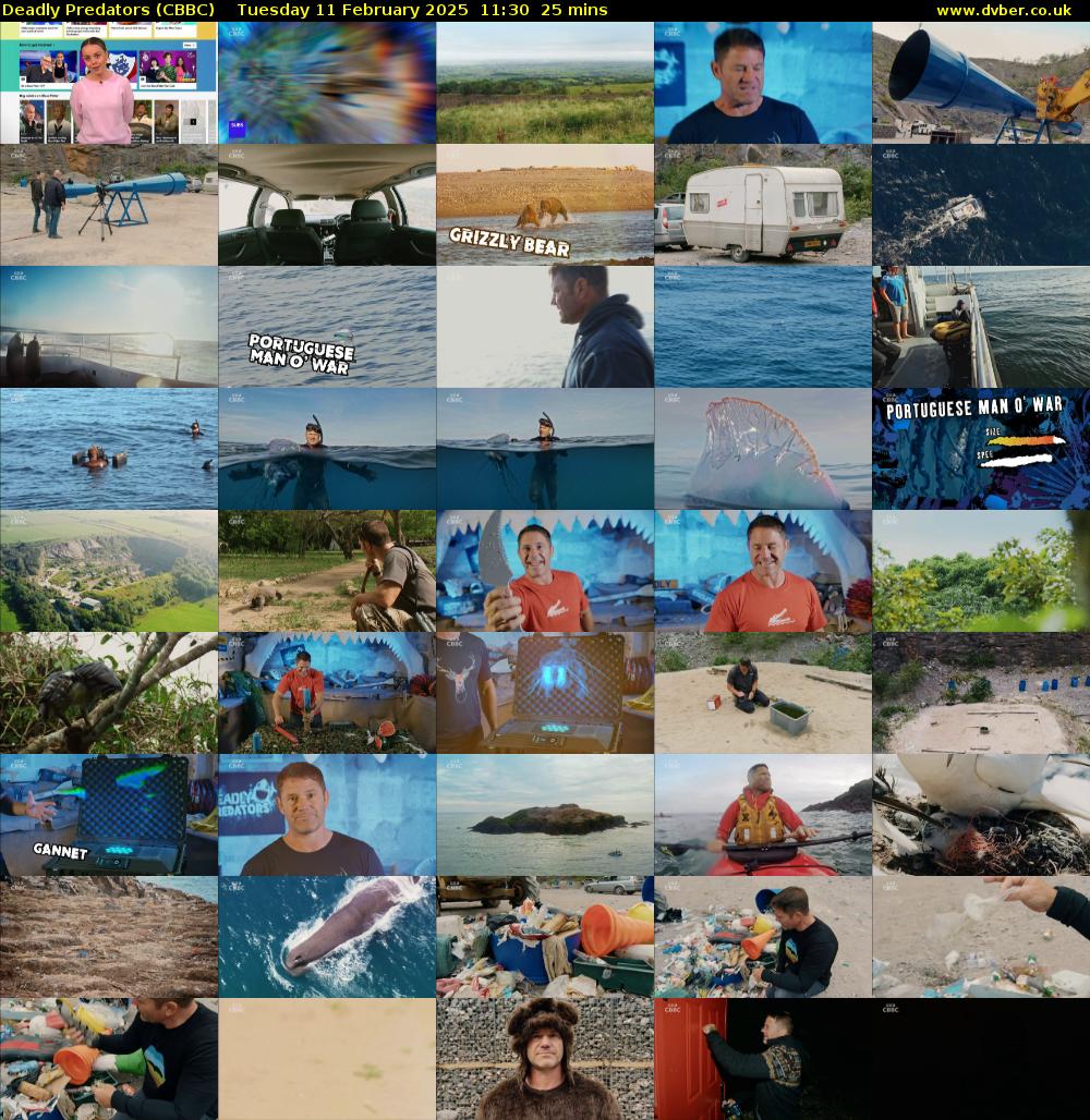 Deadly Predators (CBBC) Tuesday 11 February 2025 11:30 - 11:55