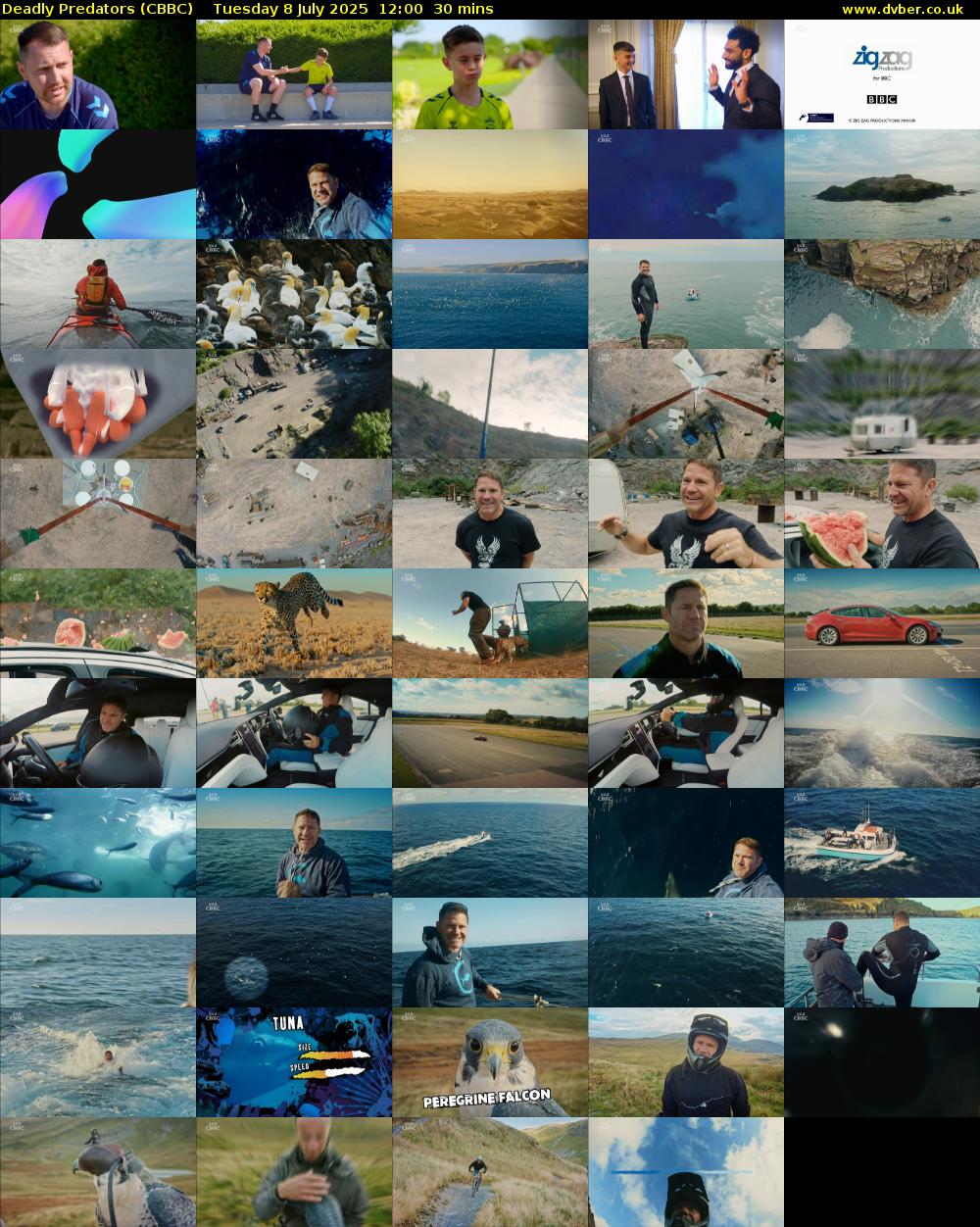 Deadly Predators (CBBC) Tuesday 8 July 2025 12:00 - 12:30
