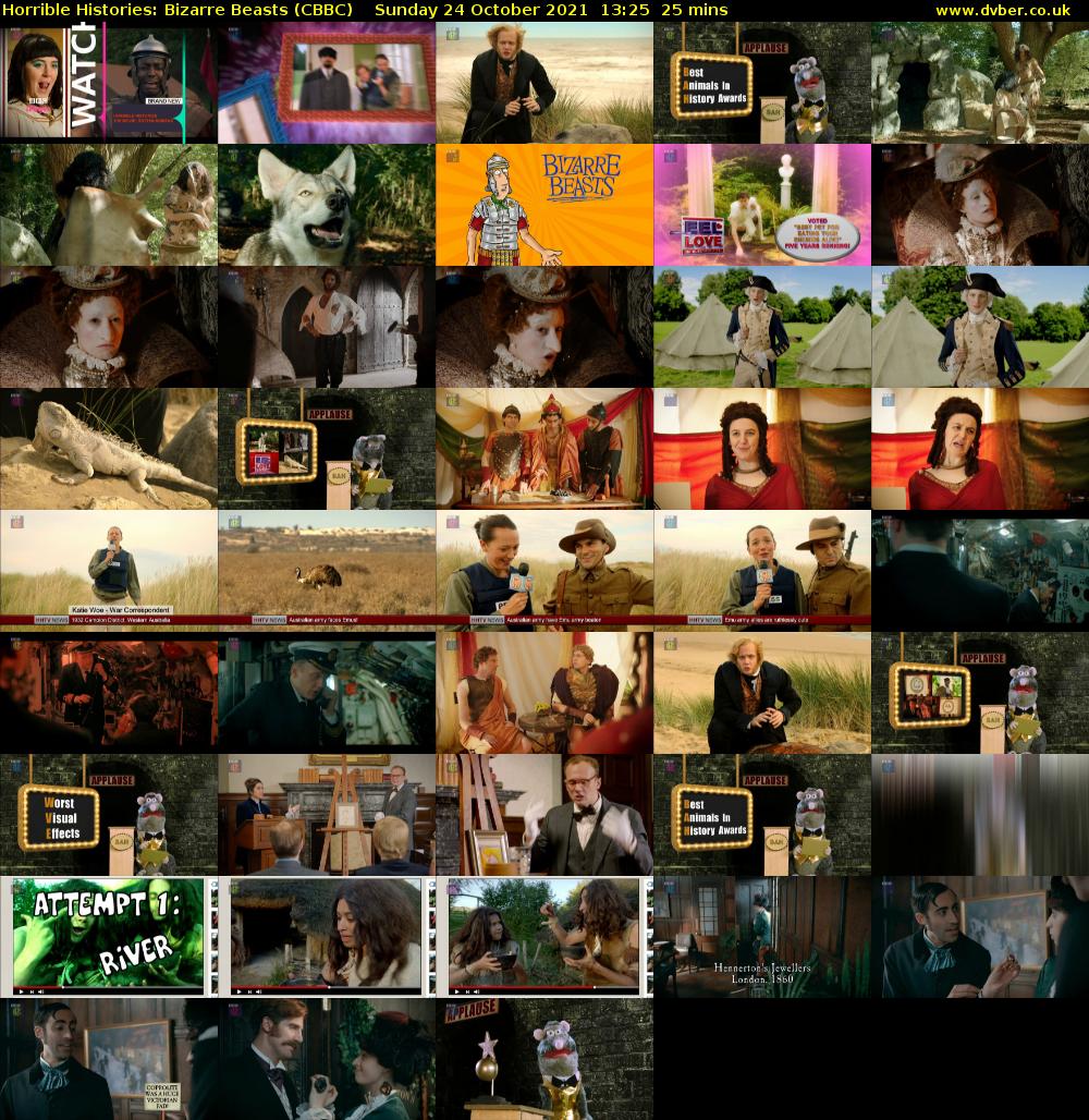 Horrible Histories: Bizarre Beasts (CBBC) Sunday 24 October 2021 13:25 - 13:50