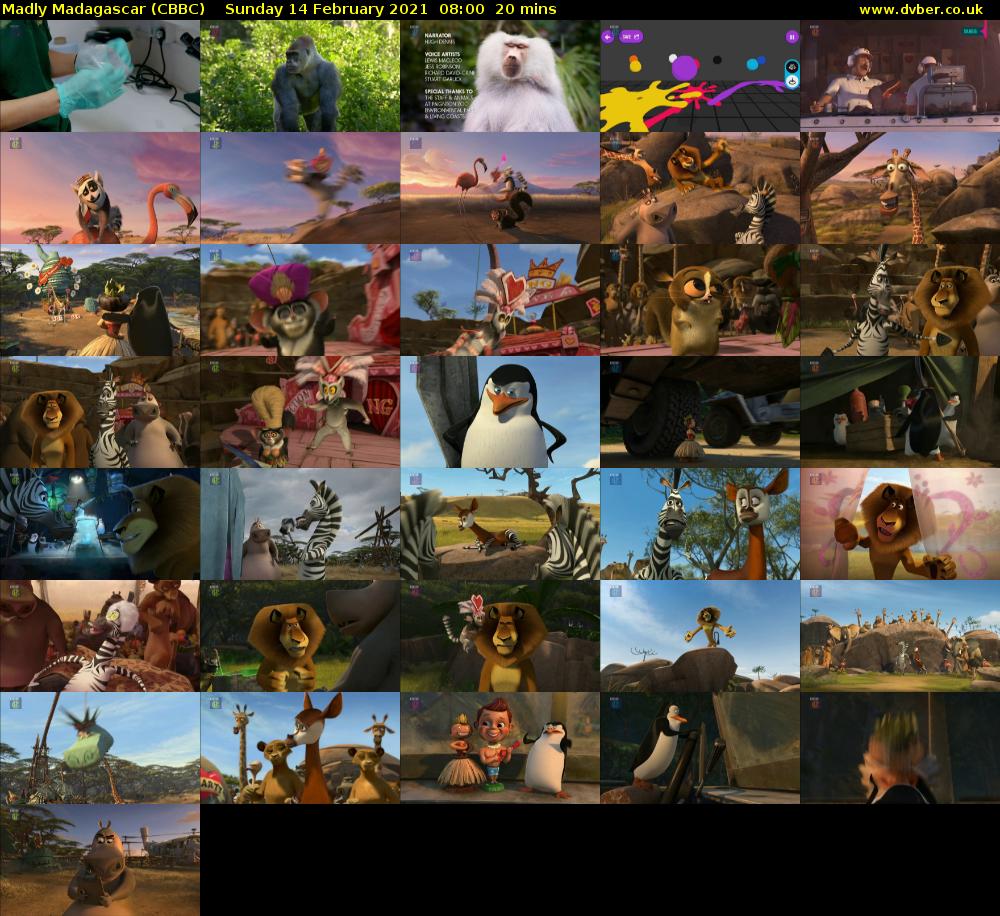 Madly Madagascar (CBBC) Sunday 14 February 2021 08:00 - 08:20