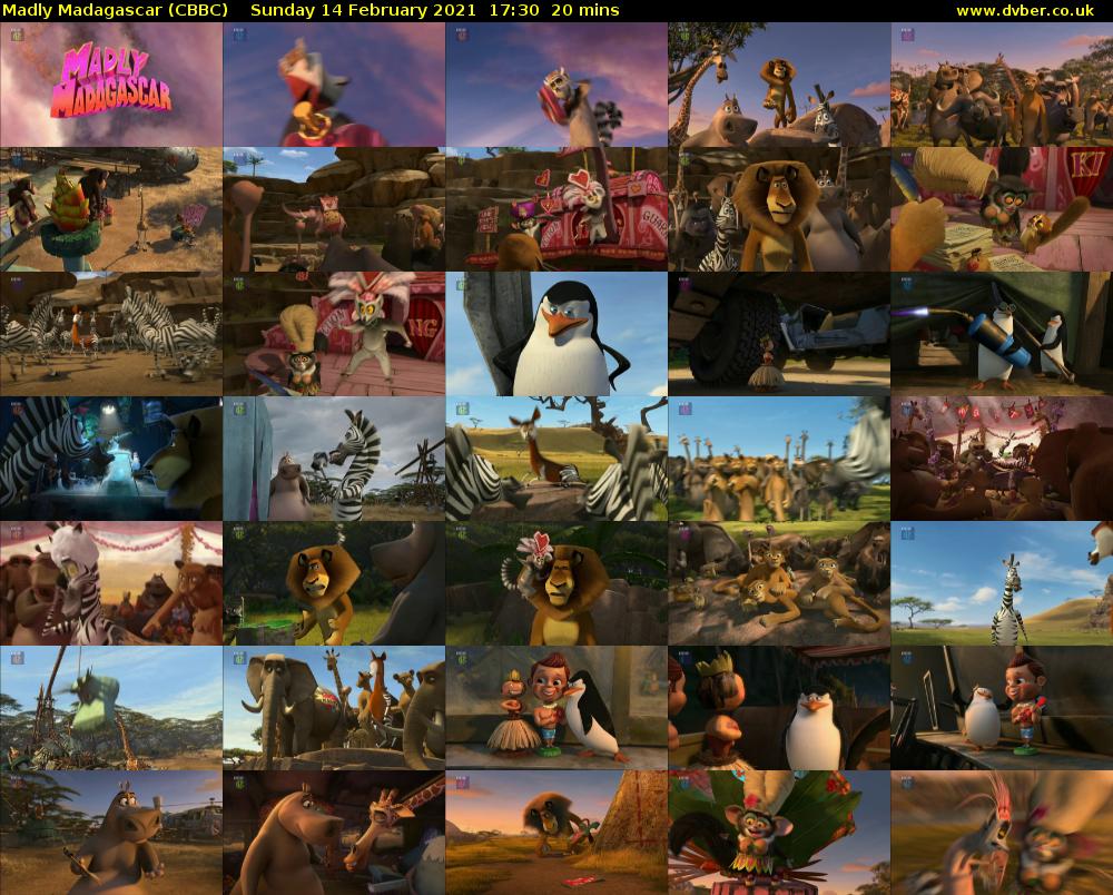Madly Madagascar (CBBC) Sunday 14 February 2021 17:30 - 17:50