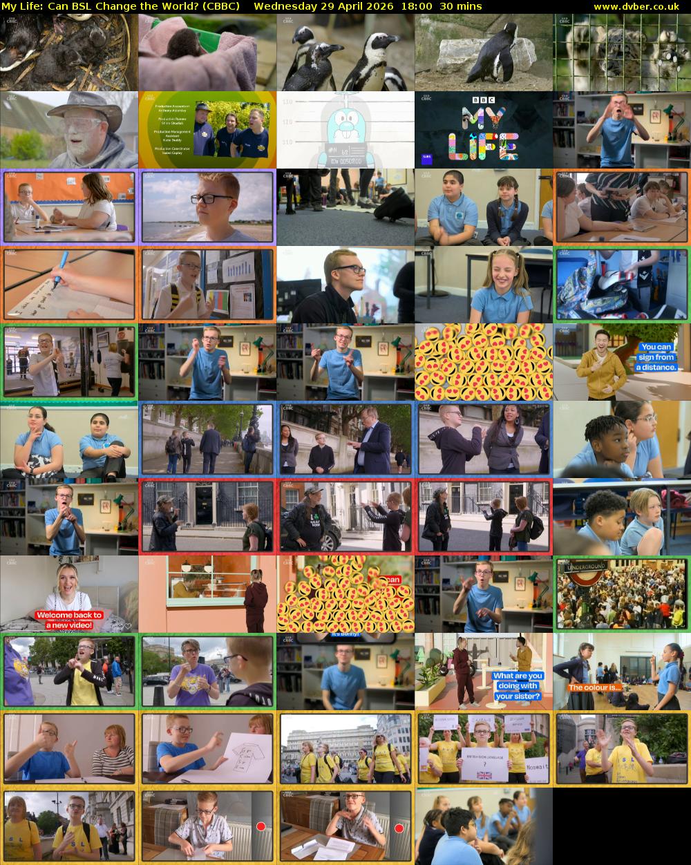 My Life: Can BSL Change the World? (CBBC) Wednesday 29 April 2026 18:00 - 18:30