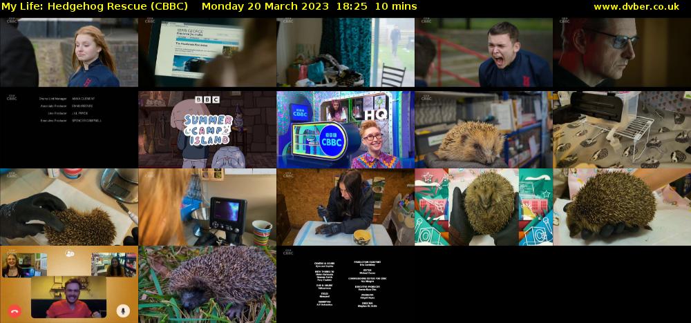 My Life: Hedgehog Rescue (CBBC) Monday 20 March 2023 18:25 - 18:35