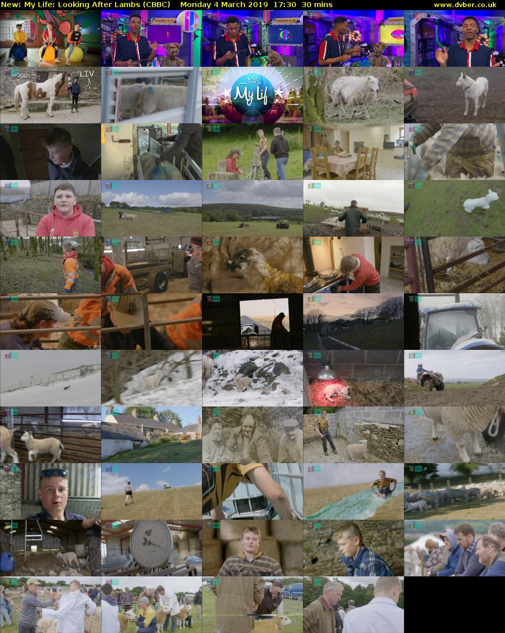 My Life: Looking After Lambs (CBBC) Monday 4 March 2019 17:30 - 18:00