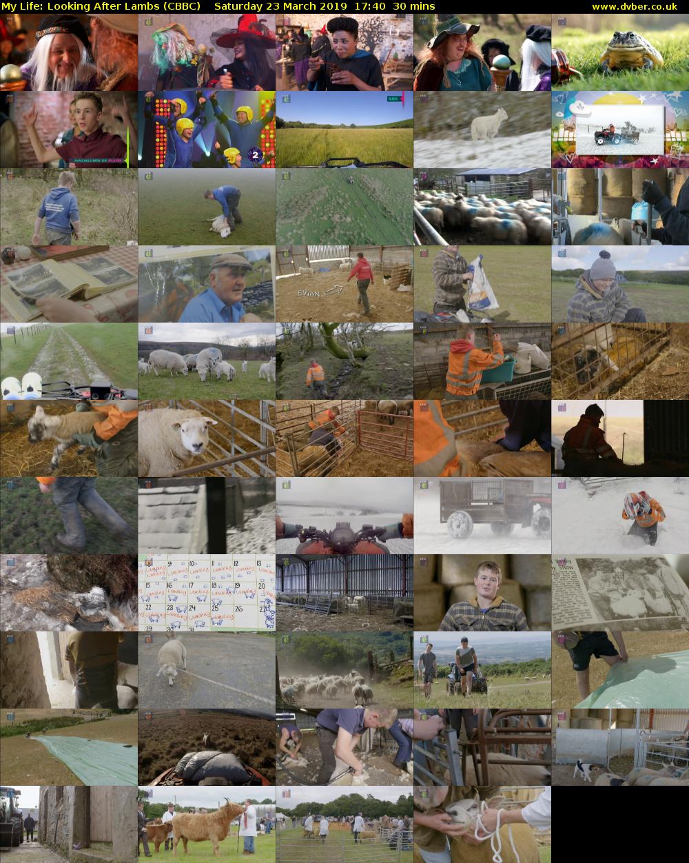 My Life: Looking After Lambs (CBBC) Saturday 23 March 2019 17:40 - 18:10