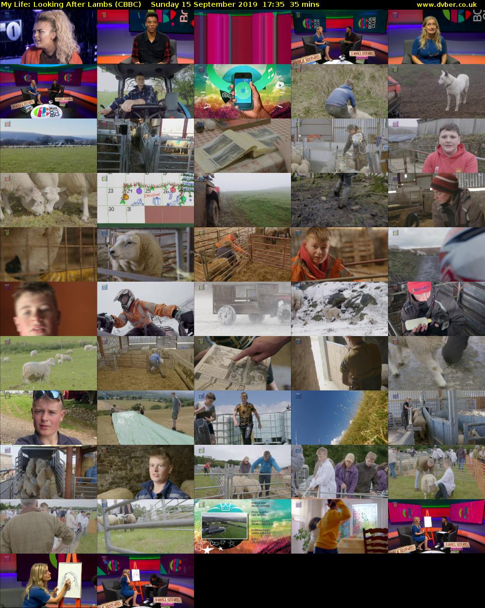 My Life: Looking After Lambs (CBBC) Sunday 15 September 2019 17:35 - 18:10