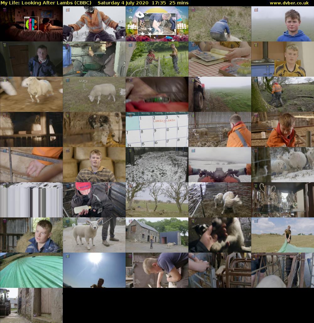 My Life: Looking After Lambs (CBBC) Saturday 4 July 2020 17:35 - 18:00