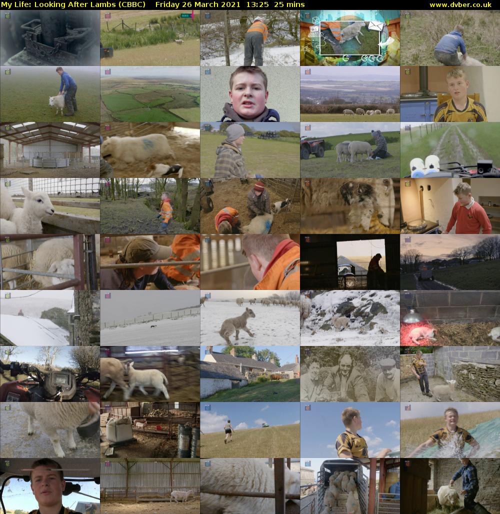 My Life: Looking After Lambs (CBBC) Friday 26 March 2021 13:25 - 13:50