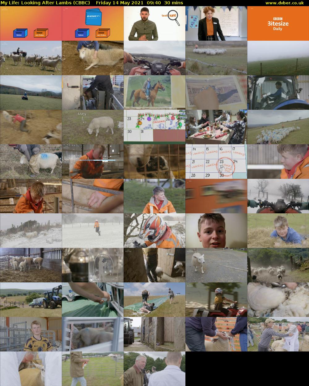 My Life: Looking After Lambs (CBBC) Friday 14 May 2021 09:40 - 10:10