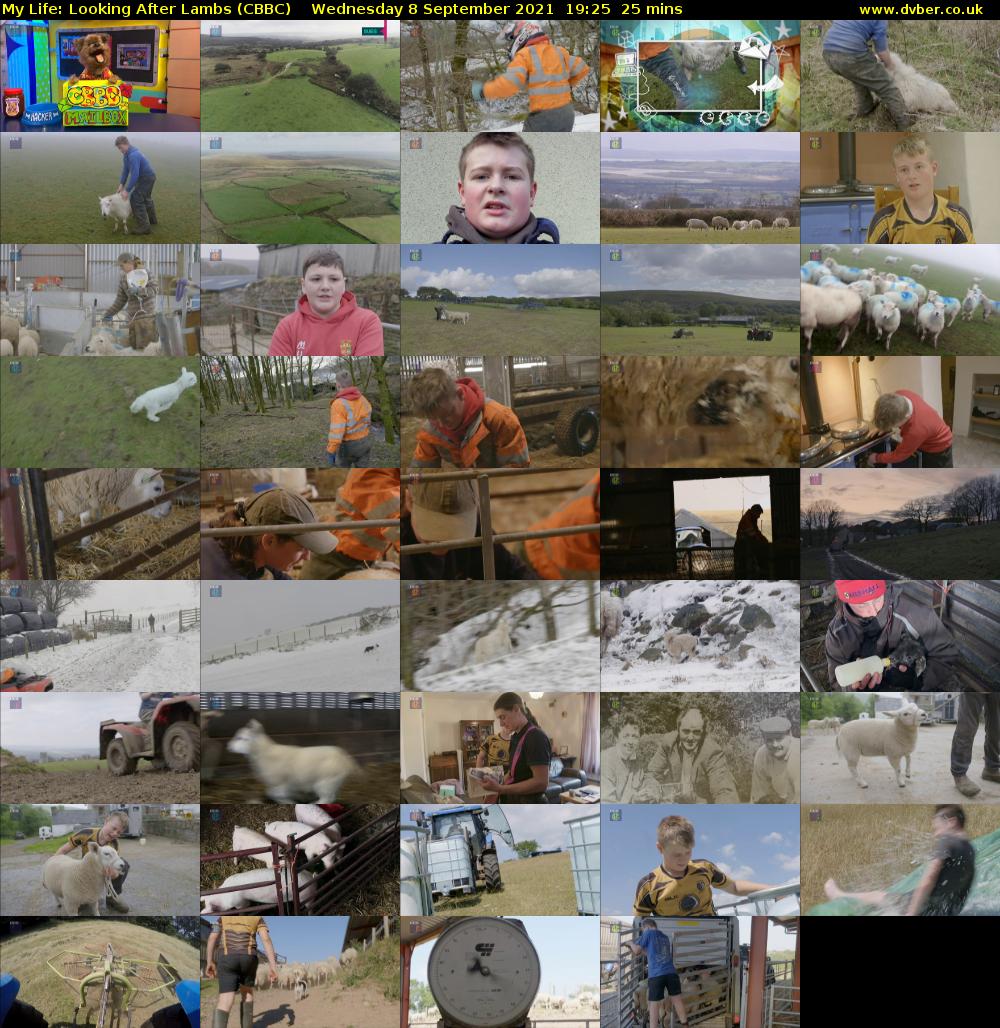 My Life: Looking After Lambs (CBBC) Wednesday 8 September 2021 19:25 - 19:50