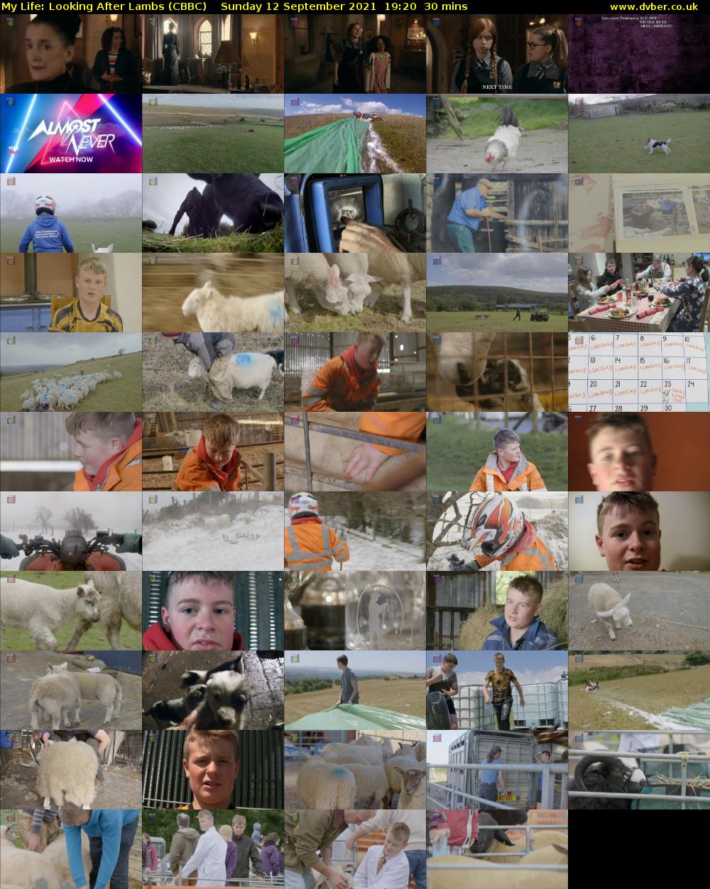 My Life: Looking After Lambs (CBBC) Sunday 12 September 2021 19:20 - 19:50