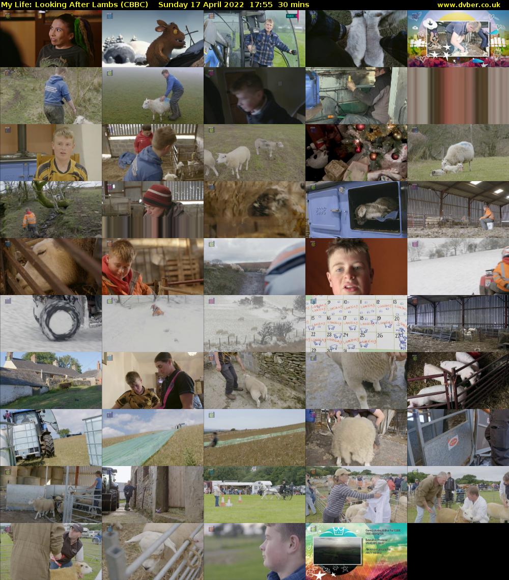 My Life: Looking After Lambs (CBBC) Sunday 17 April 2022 17:55 - 18:25