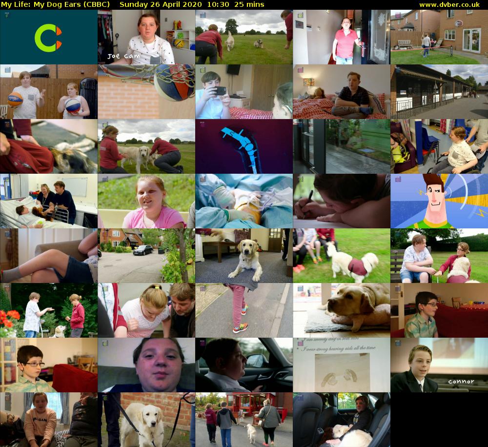 My Life: My Dog Ears (CBBC) Sunday 26 April 2020 10:30 - 10:55