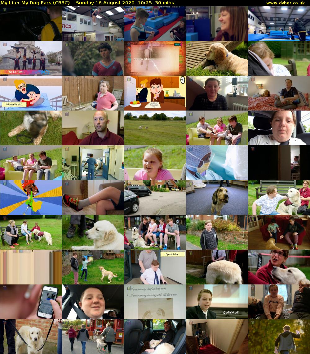 My Life: My Dog Ears (CBBC) Sunday 16 August 2020 10:25 - 10:55