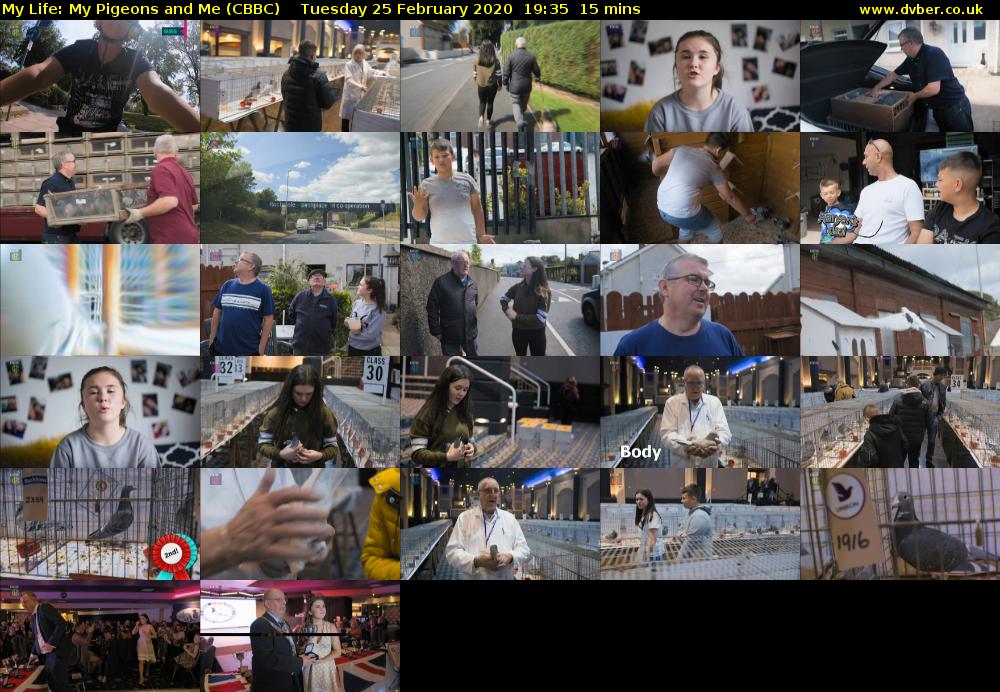 My Life: My Pigeons and Me (CBBC) Tuesday 25 February 2020 19:35 - 19:50