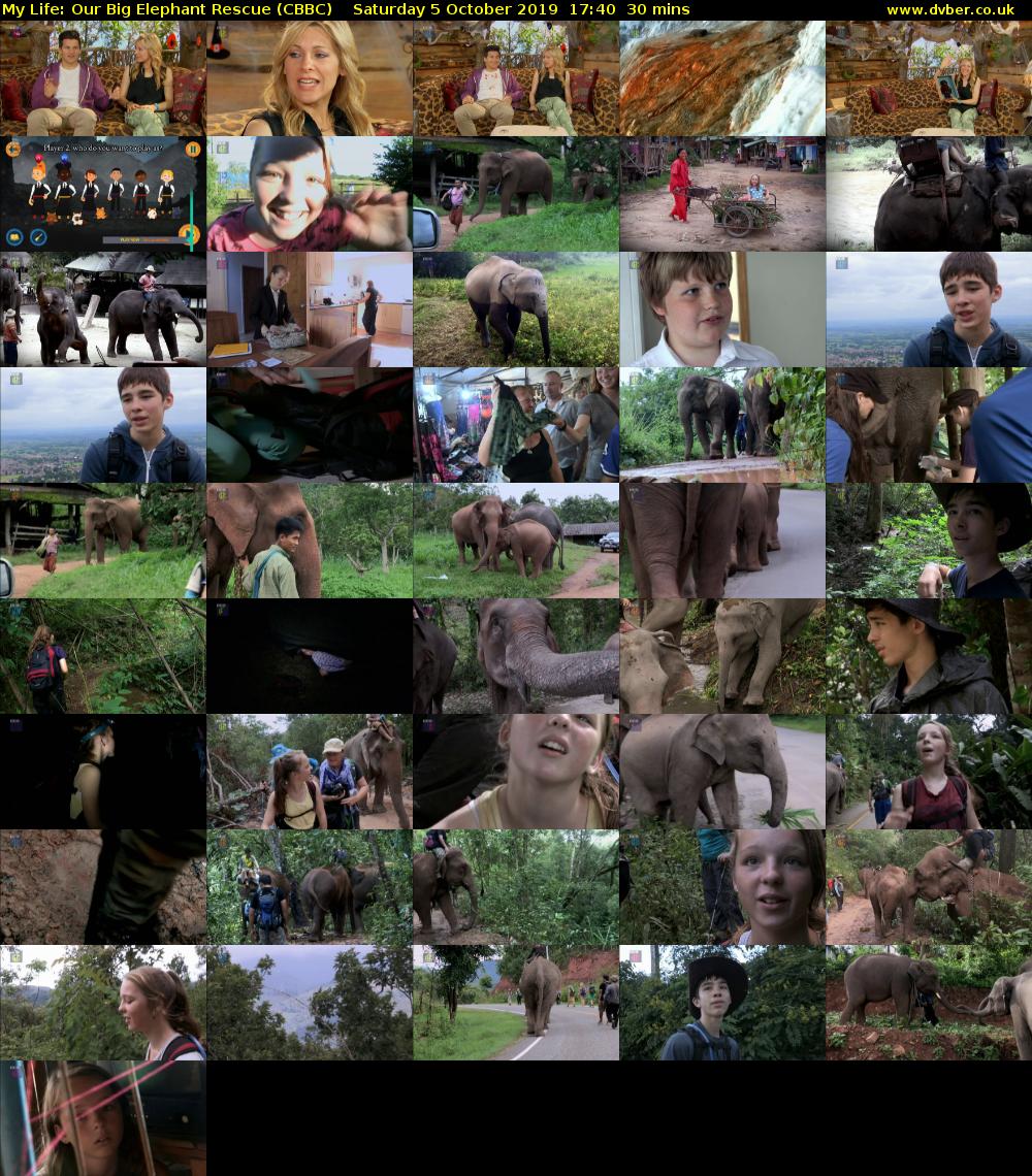 My Life: Our Big Elephant Rescue (CBBC) Saturday 5 October 2019 17:40 - 18:10