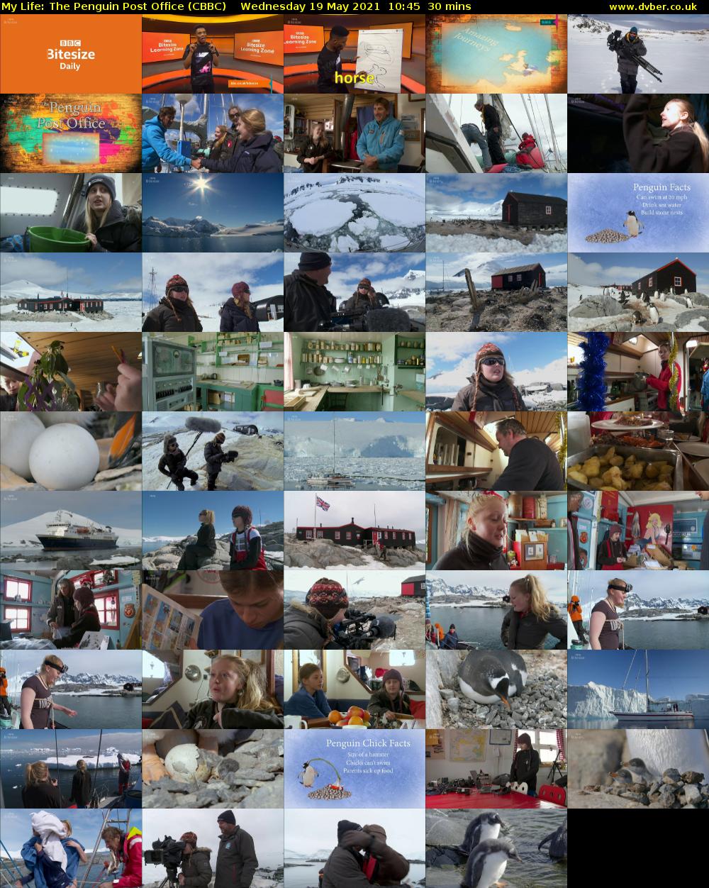 My Life: The Penguin Post Office (CBBC) Wednesday 19 May 2021 10:45 - 11:15