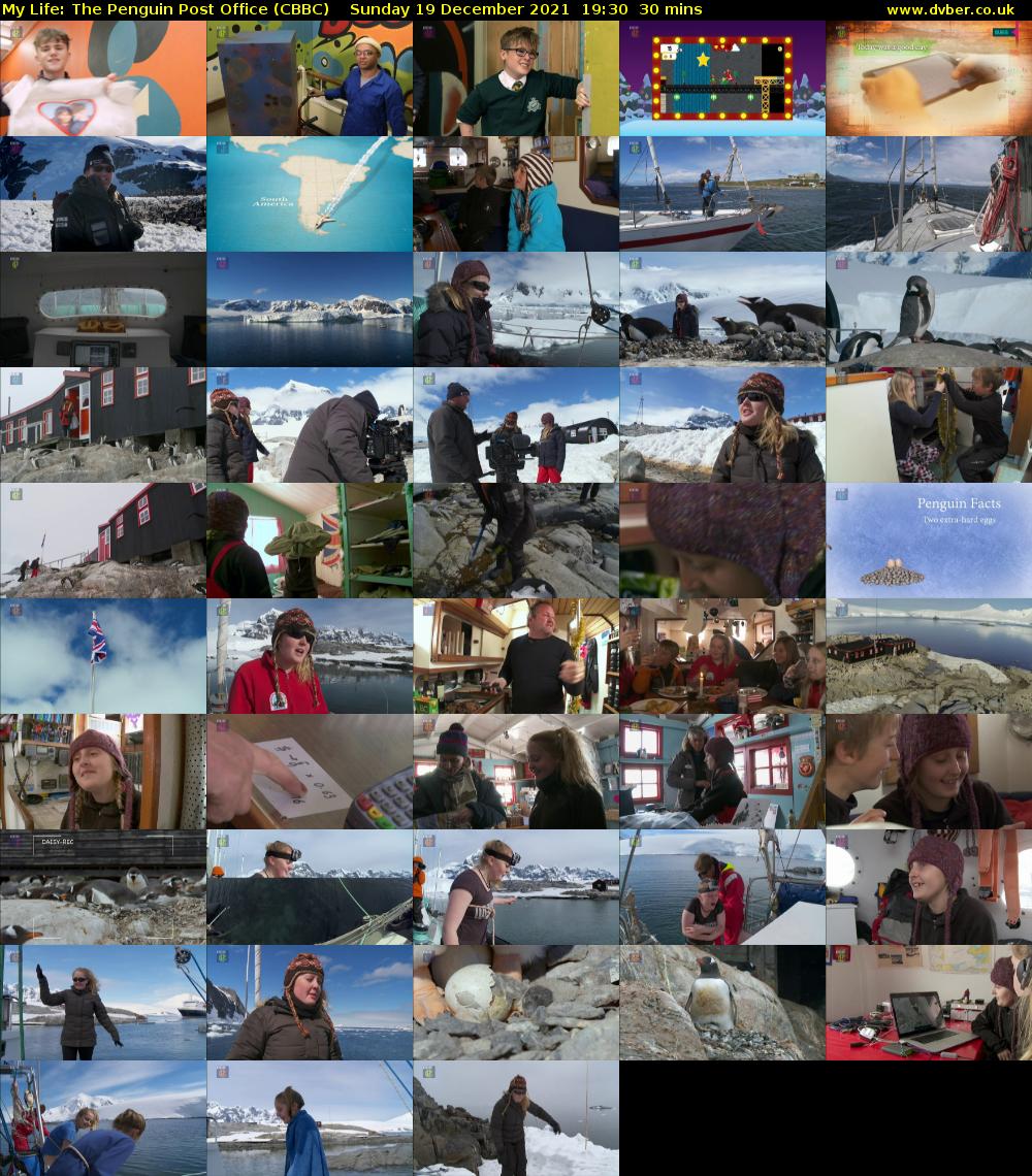 My Life: The Penguin Post Office (CBBC) Sunday 19 December 2021 19:30 - 20:00