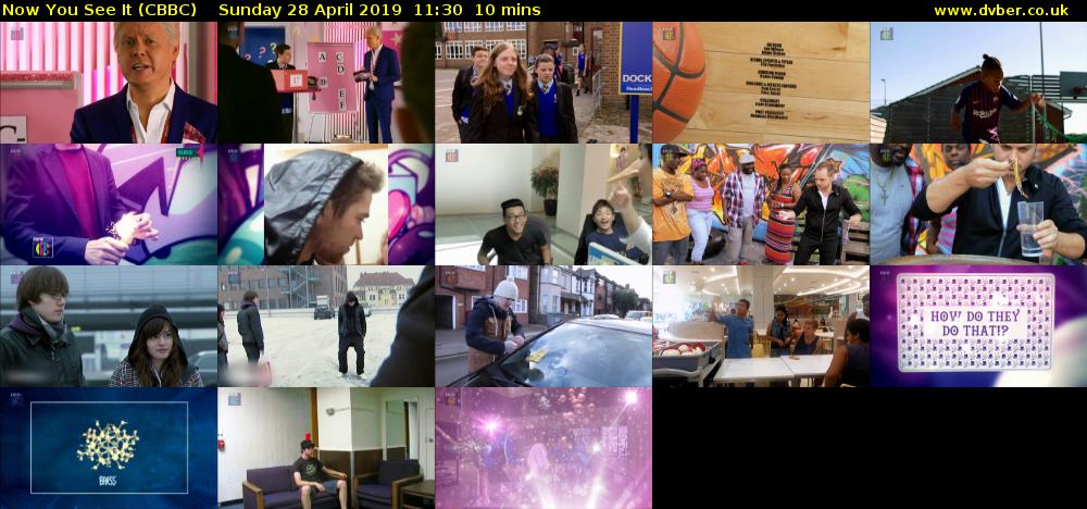 Now You See It (CBBC) Sunday 28 April 2019 11:30 - 11:40