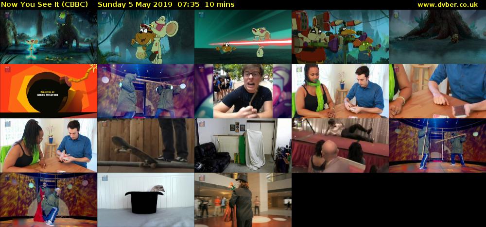 Now You See It (CBBC) Sunday 5 May 2019 07:35 - 07:45