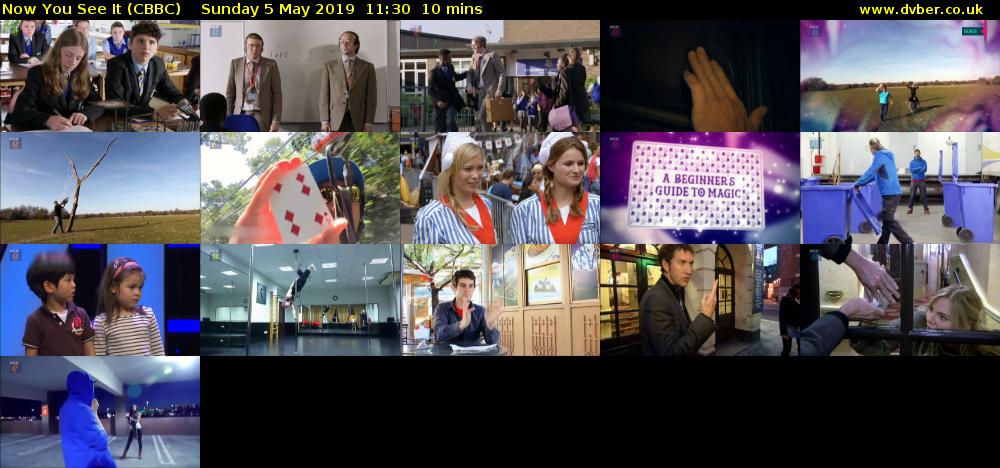 Now You See It (CBBC) Sunday 5 May 2019 11:30 - 11:40
