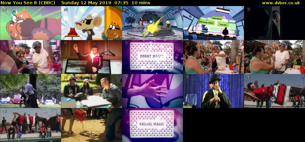 Now You See It (CBBC) Sunday 12 May 2019 07:35 - 07:45