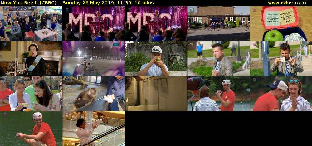 Now You See It (CBBC) Sunday 26 May 2019 11:30 - 11:40