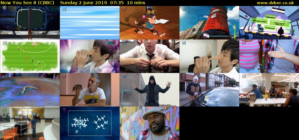 Now You See It (CBBC) Sunday 2 June 2019 07:35 - 07:45