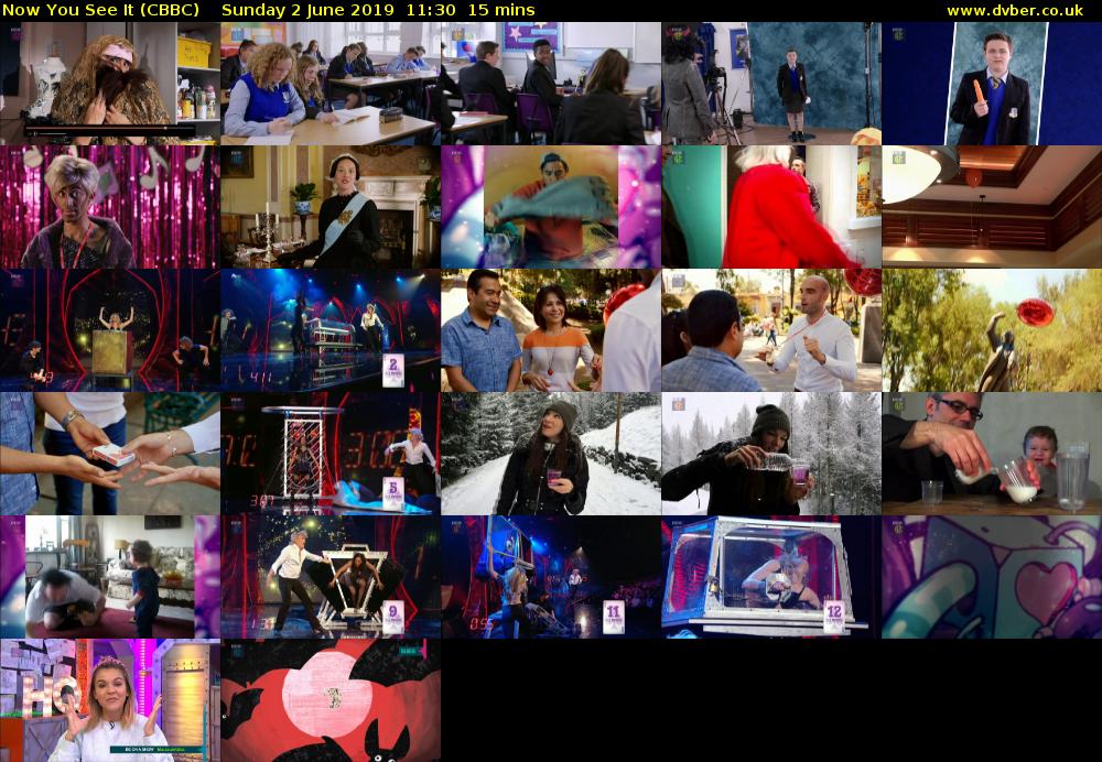 Now You See It (CBBC) Sunday 2 June 2019 11:30 - 11:45