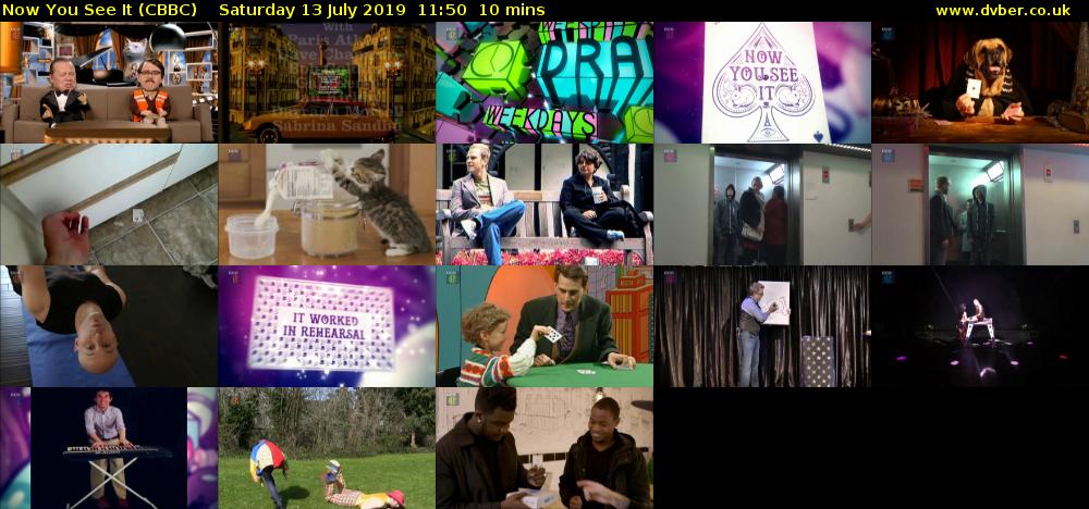Now You See It (CBBC) Saturday 13 July 2019 11:50 - 12:00