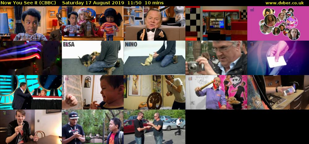 Now You See It (CBBC) Saturday 17 August 2019 11:50 - 12:00