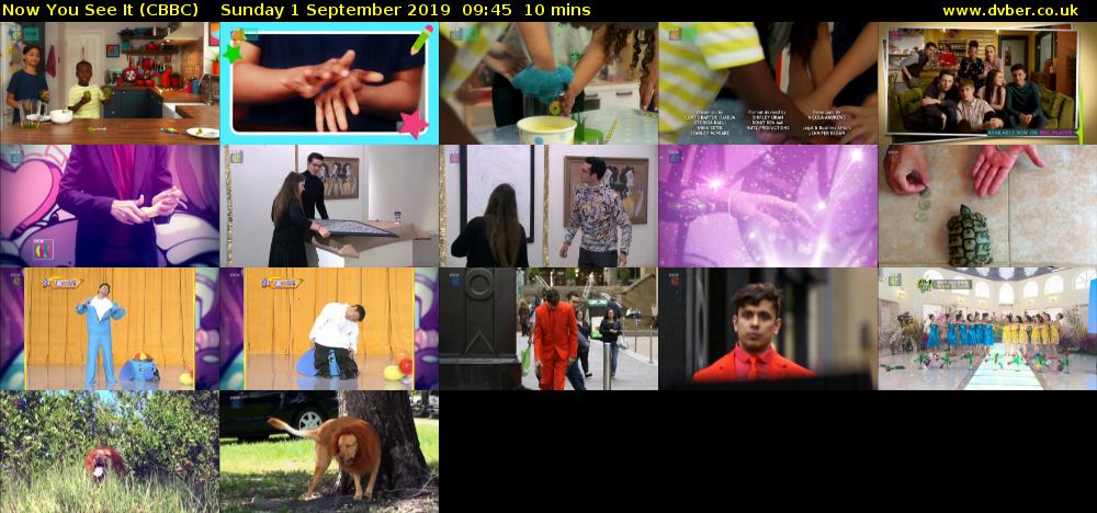 Now You See It (CBBC) Sunday 1 September 2019 09:45 - 09:55