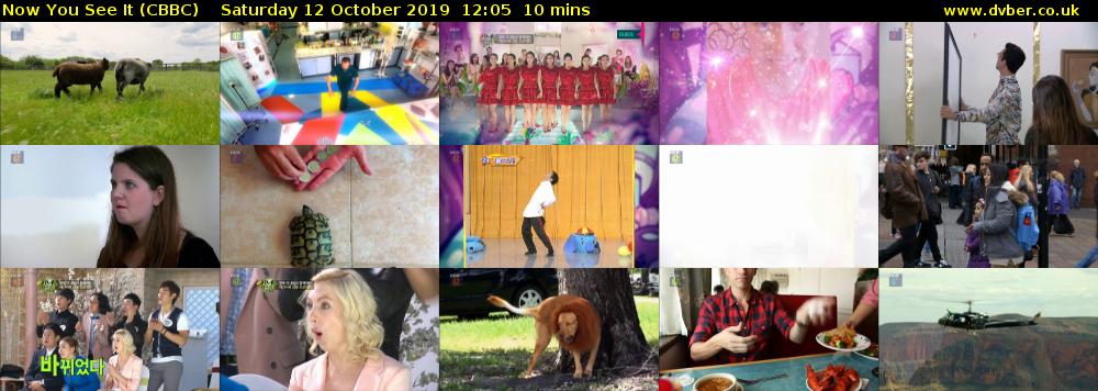 Now You See It (CBBC) Saturday 12 October 2019 12:05 - 12:15