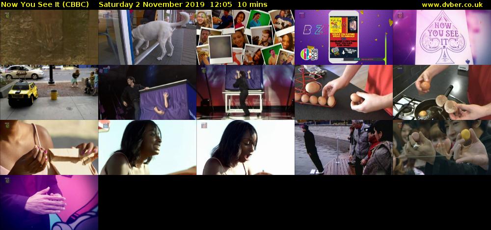 Now You See It (CBBC) Saturday 2 November 2019 12:05 - 12:15