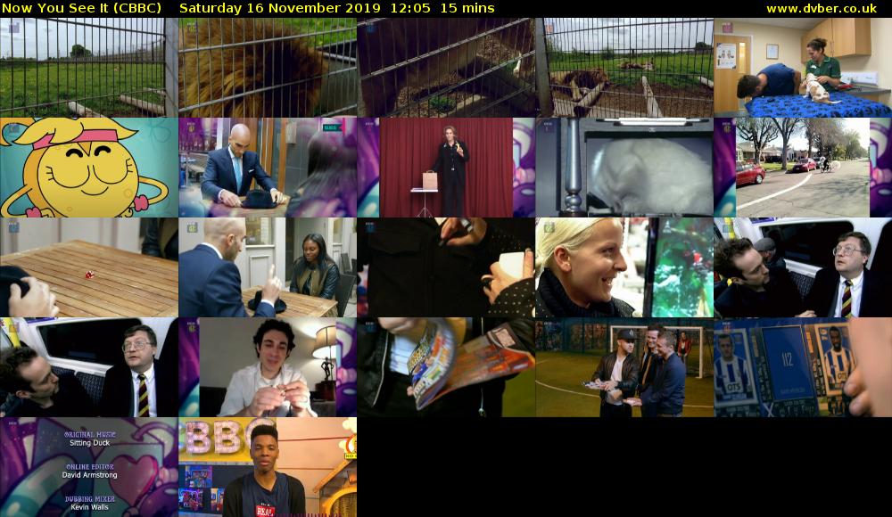 Now You See It (CBBC) Saturday 16 November 2019 12:05 - 12:20