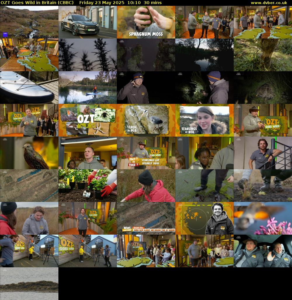 OZT Goes Wild in Britain (CBBC) Friday 23 May 2025 10:10 - 10:40