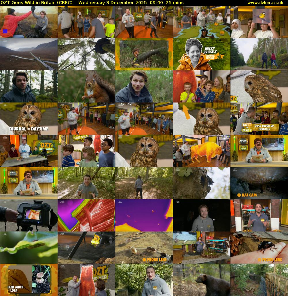 OZT Goes Wild in Britain (CBBC) Wednesday 3 December 2025 09:40 - 10:05